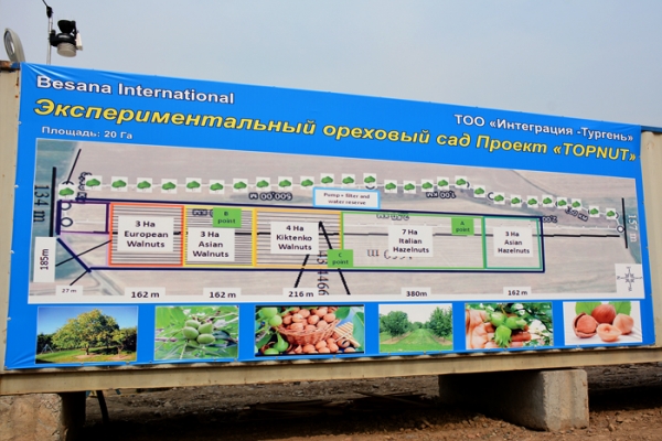 den-polya-turgen-41272806C-94E8-27F8-76F7-4719E0AD751F.jpg