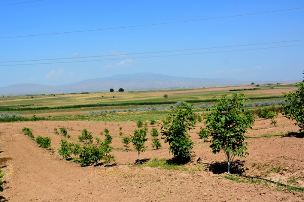 shymkent-kz-146CD135C5-F813-59D4-652A-C608868E7BCD.jpg
