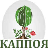 site logo